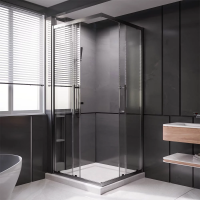 Душевой угол раздвижной 1200Х900x2000 цвет профиля Графит брашированный стекло прозрачное  PTC20-GR-12090-01-C4 Premium Veconi