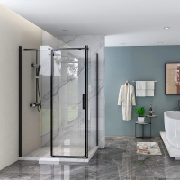Душевой угол раздвижной прямоугольный RV070B-160100-01-C4 1600х1000х1950 Цвет профиля Чёрный Стекло Прозрачное Veconi